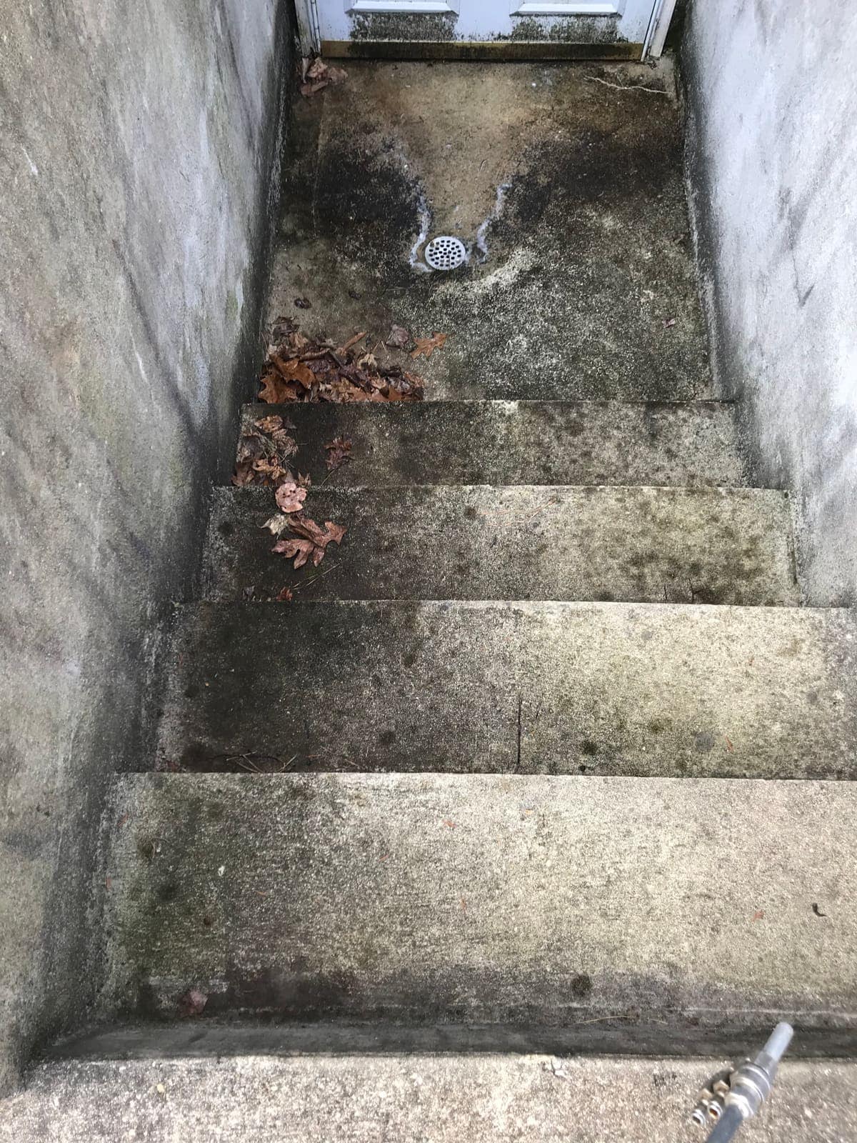 Mossy basement stairwell concrete before pressure washing