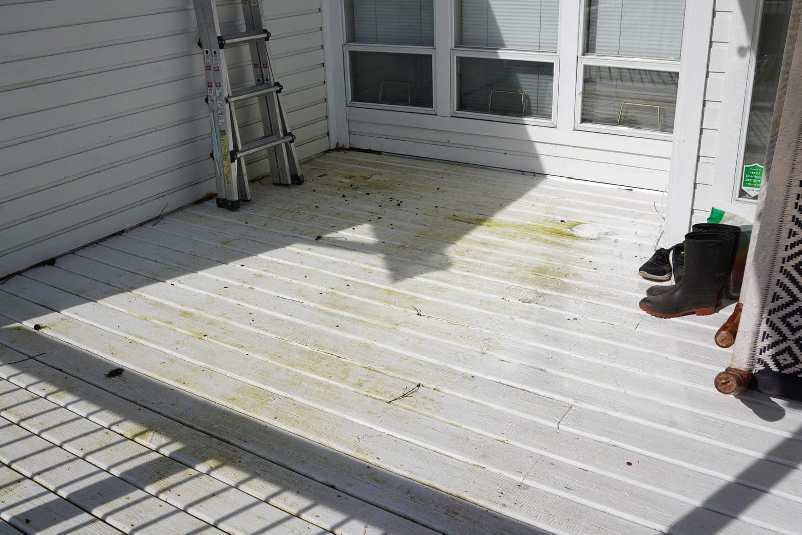 A weathered wood deck with algae before cleaning