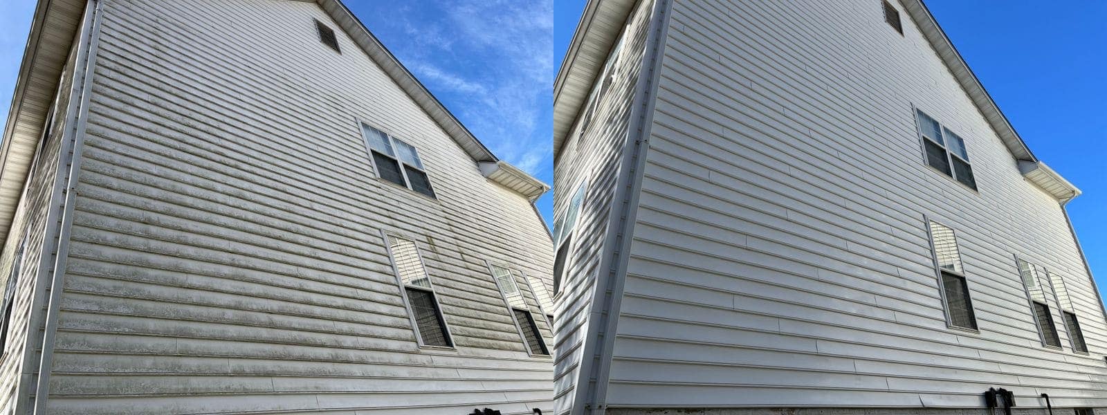 Before and after soft washing green algae from house siding, with landscaping directly below the wall