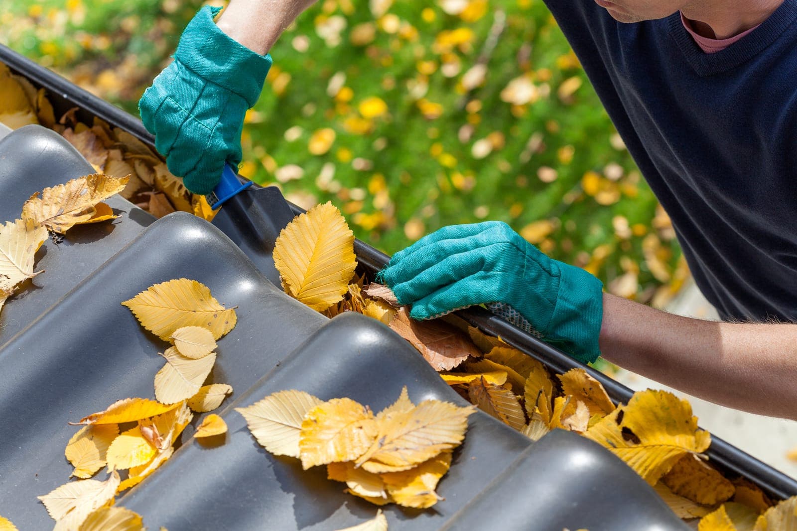 Clearing autumn leaves from a roof gutter during a fall reset