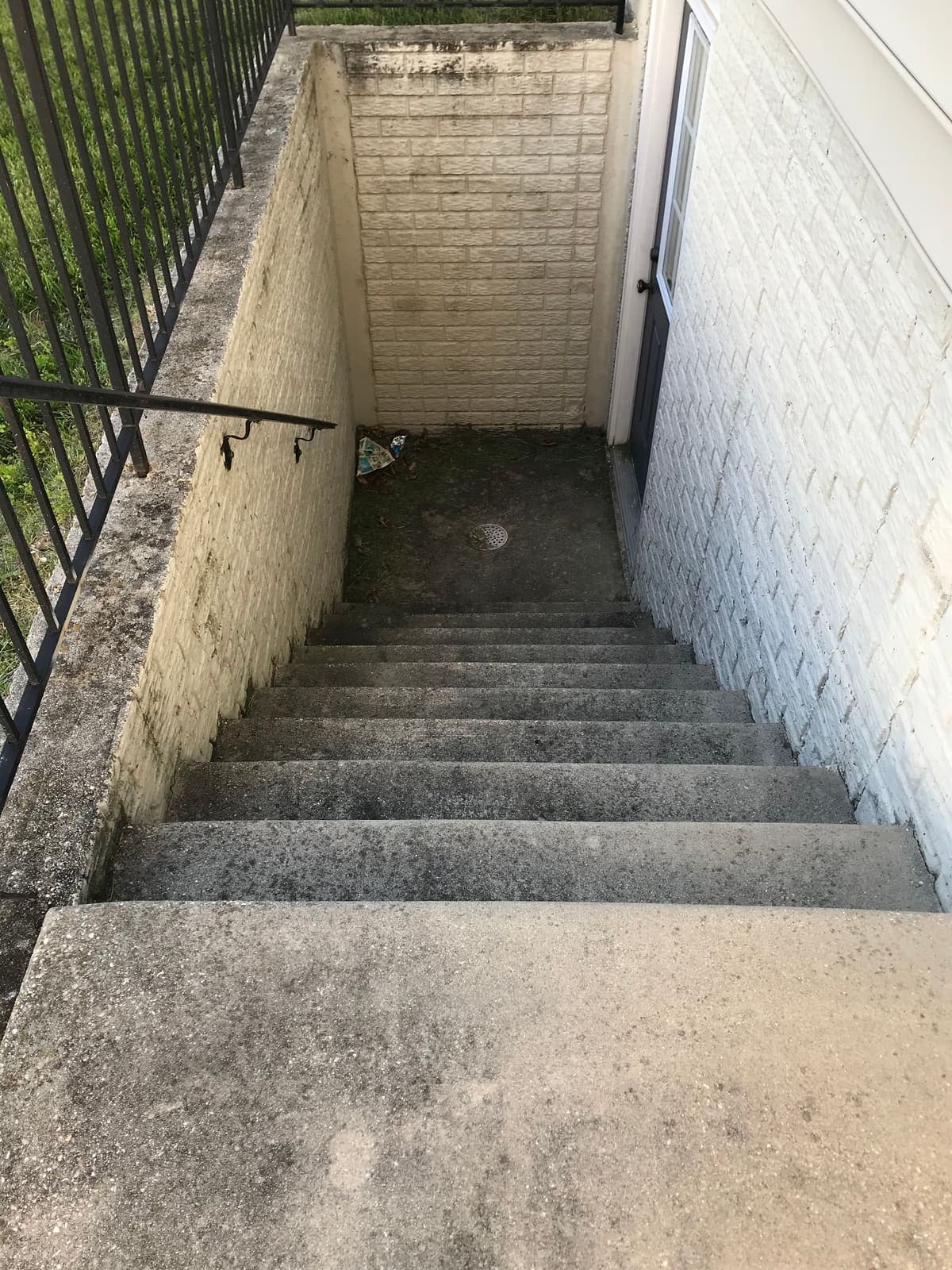 Algae-covered concrete basement stairs before cleaning