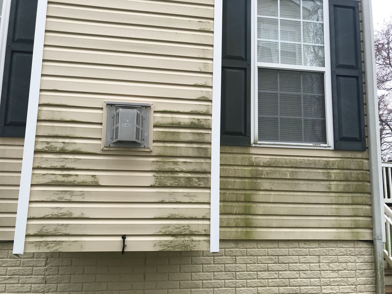 Green algae growth on siding around a window before washing