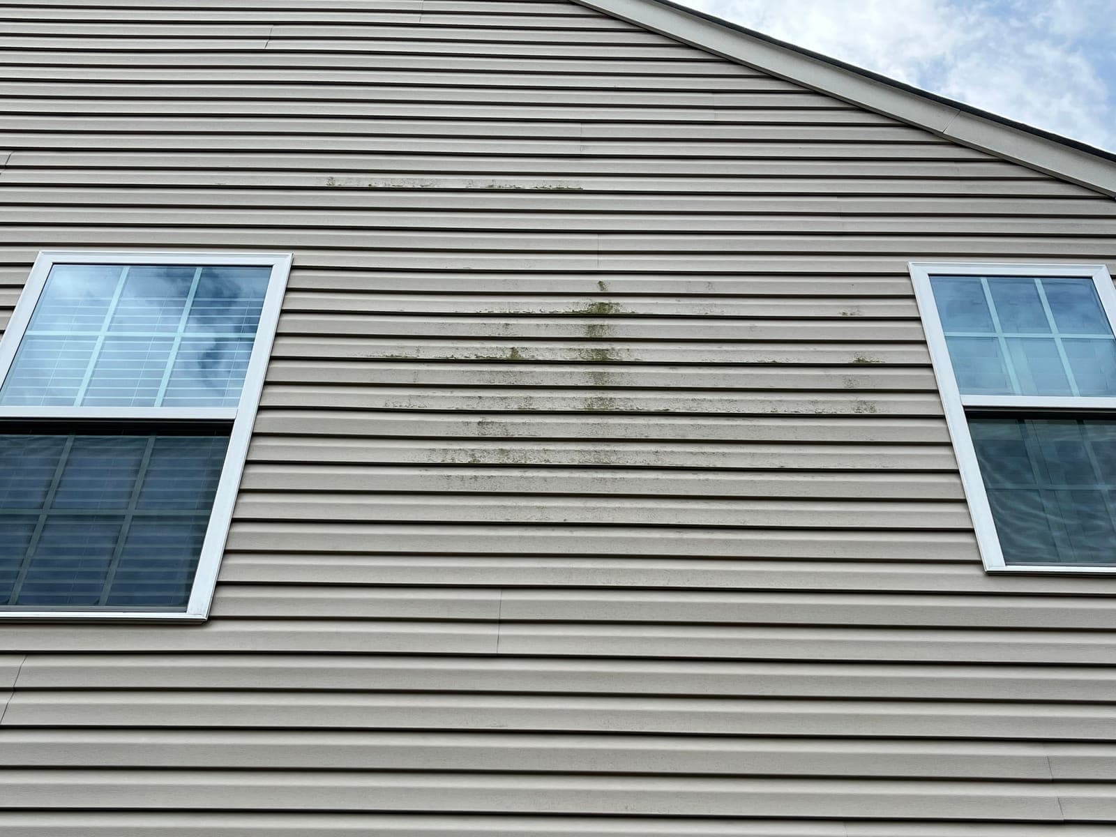 Vinyl siding on a Lower Mainland home with green algae streaks, part-way through a soft wash