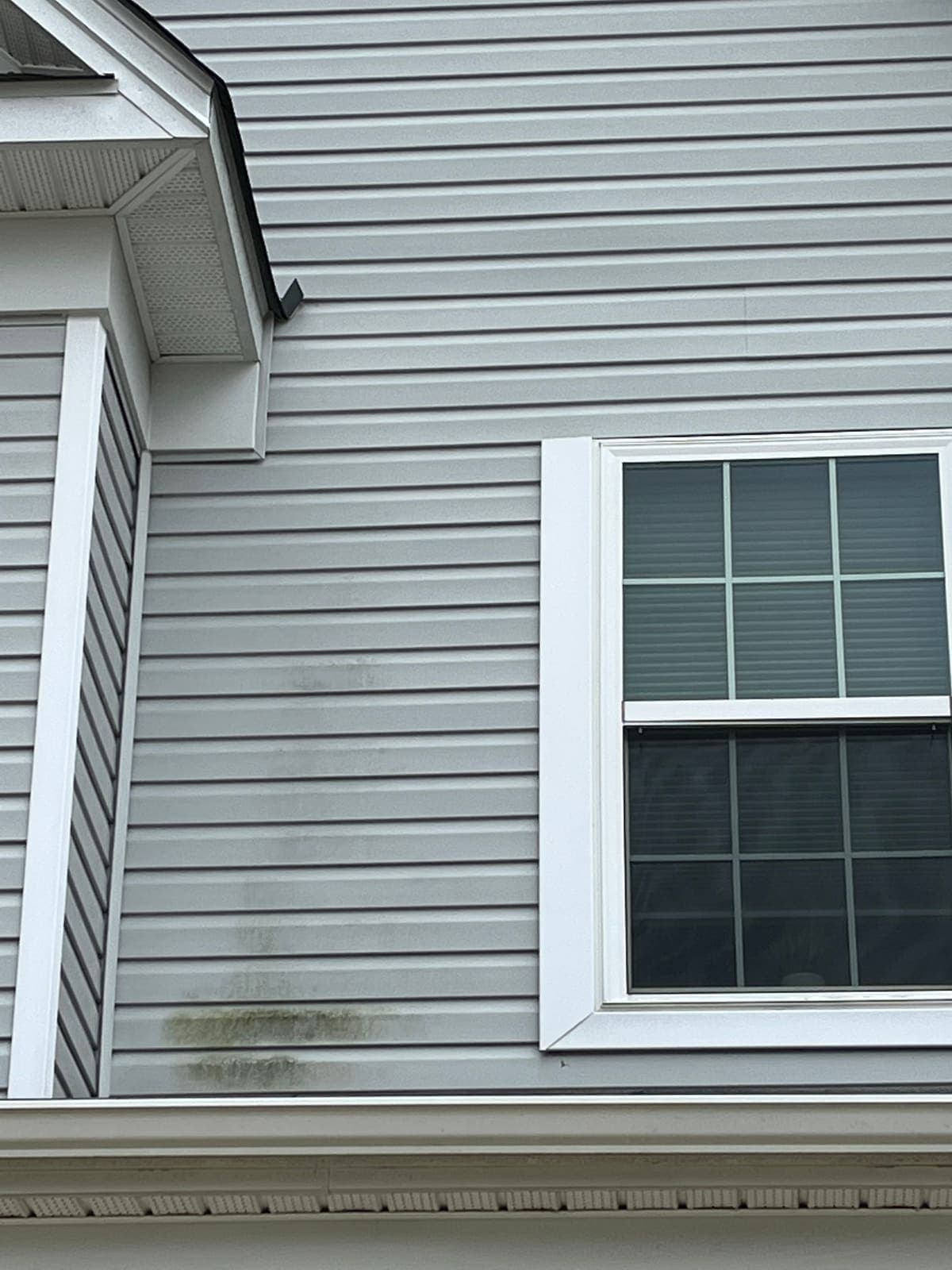 Siding and window trim bright again after cleaning