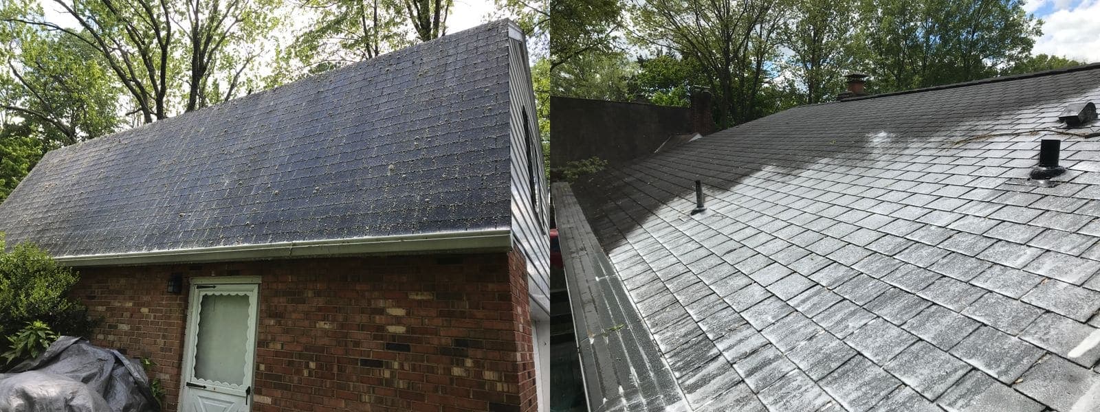 Before and after soft-wash roof cleaning, showing black algae streaks removed from asphalt shingles