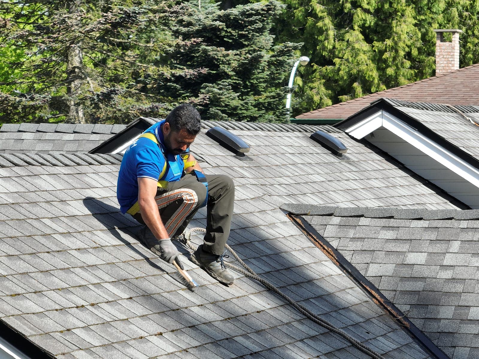 Close-up of a technician clearing established moss from between shingle courses on a residential roof