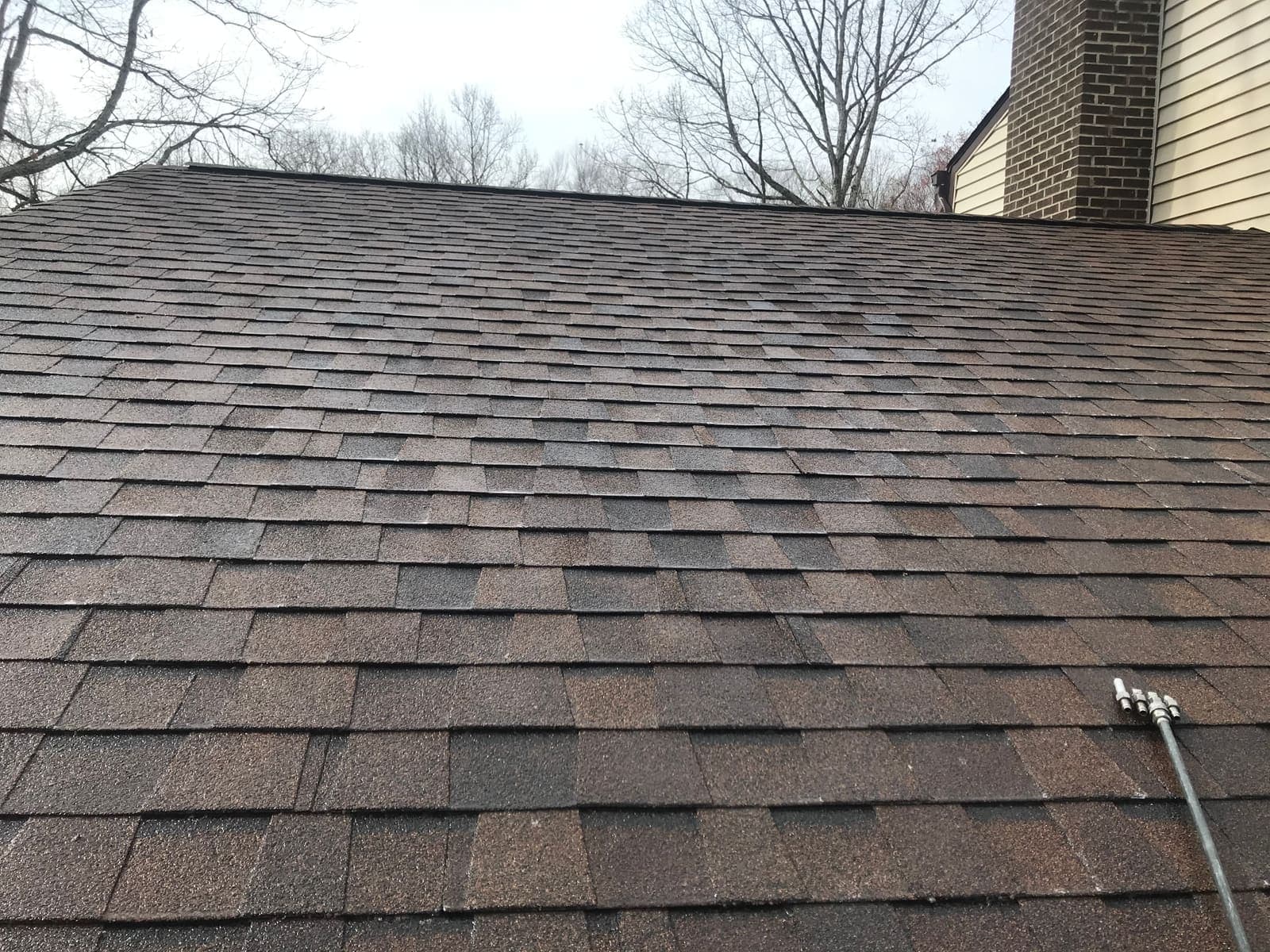 Technician applying a soft-wash treatment to a shingle roof using an extension pole from the ground