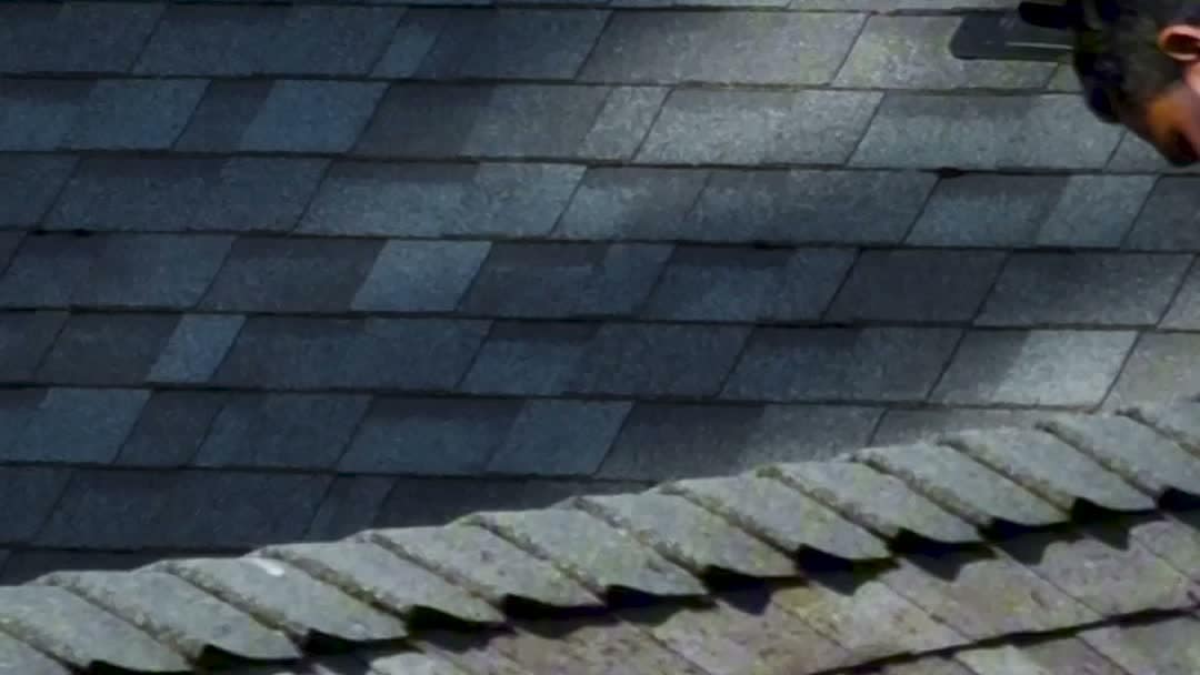 Moss lifting along shingle courses, revealing the condition of the shingles underneath