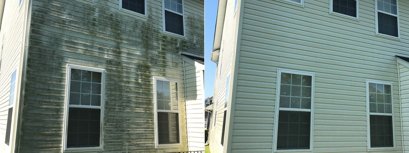 Before and after soft-wash house washing showing heavy green algae removed from two-storey siding